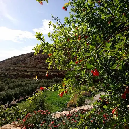 Rural Cortijo La Alberca