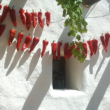 Rural Cortijo La Alberca 3*