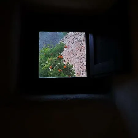 Rural Cortijo La Alberca 3*